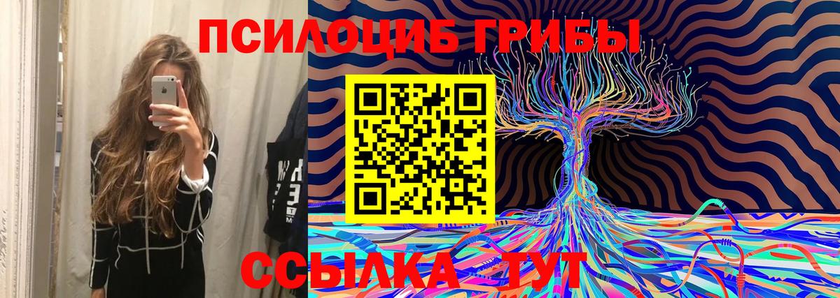 Вольск  Галлюциногенные грибы Psilocybine cubensis  Галлюциногенные грибы мицелий  Вход с VPN 