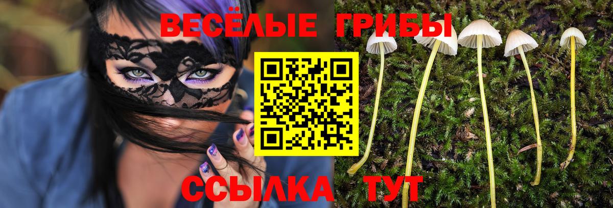 Псилоцибиновые грибы мицелий Вольск